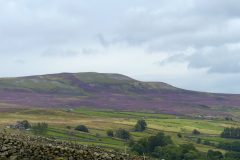Heather-Calver1