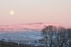 IMG_0178-39
