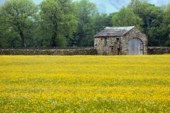 Meadow-barn